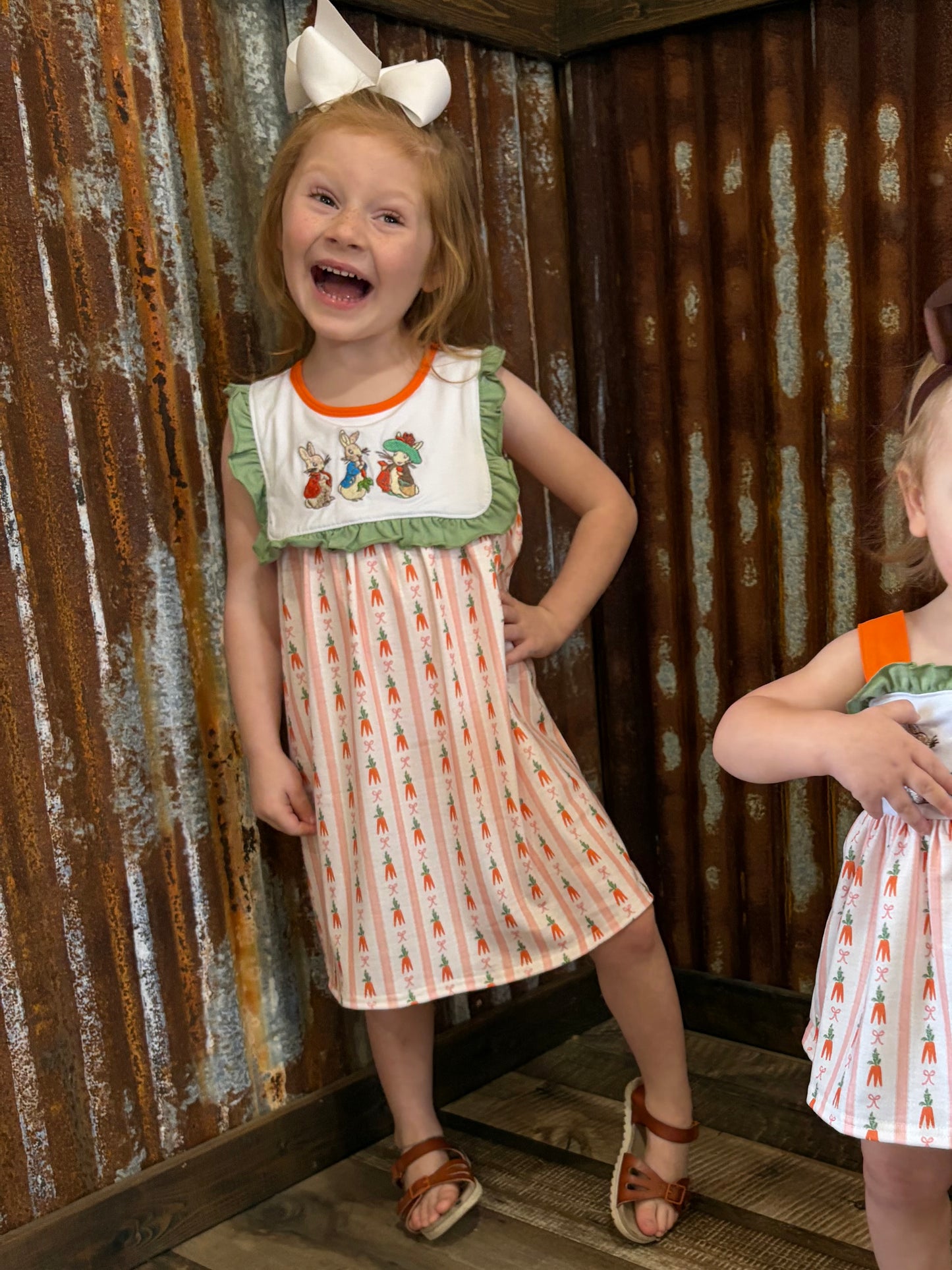 Peter Rabbit Embroidered Dress