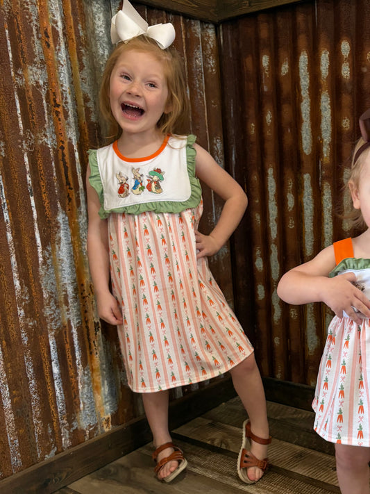 Peter Rabbit Embroidered Dress
