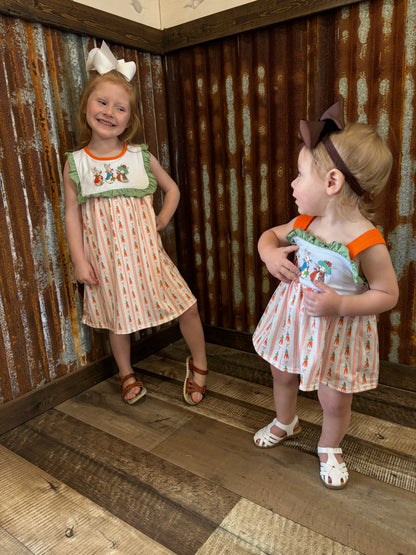 Peter Rabbit Embroidered Dress