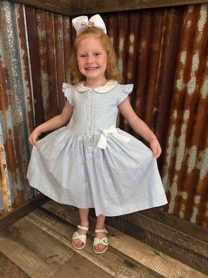 Baby Blues Collared Dress