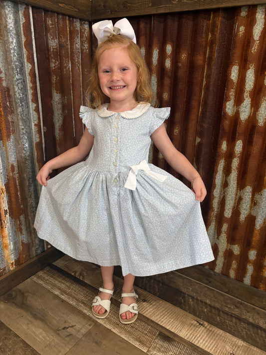 Baby Blues Collared Dress
