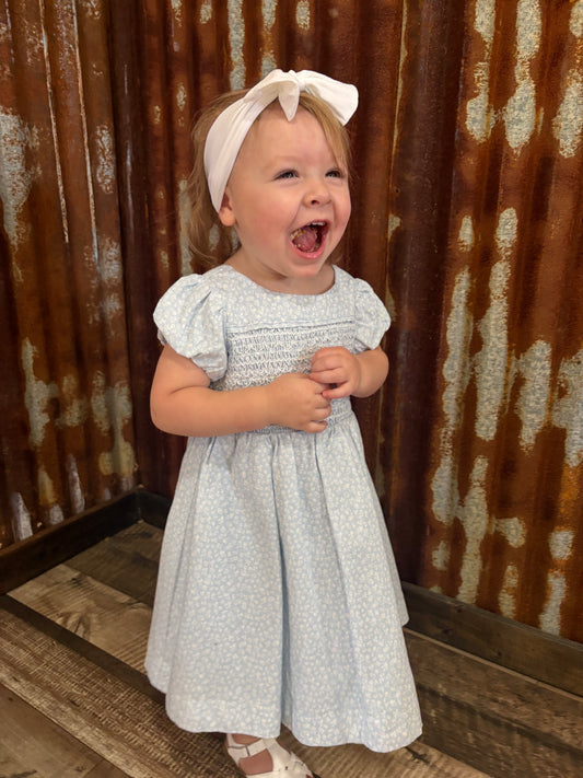 Baby Blues Bloomer Set