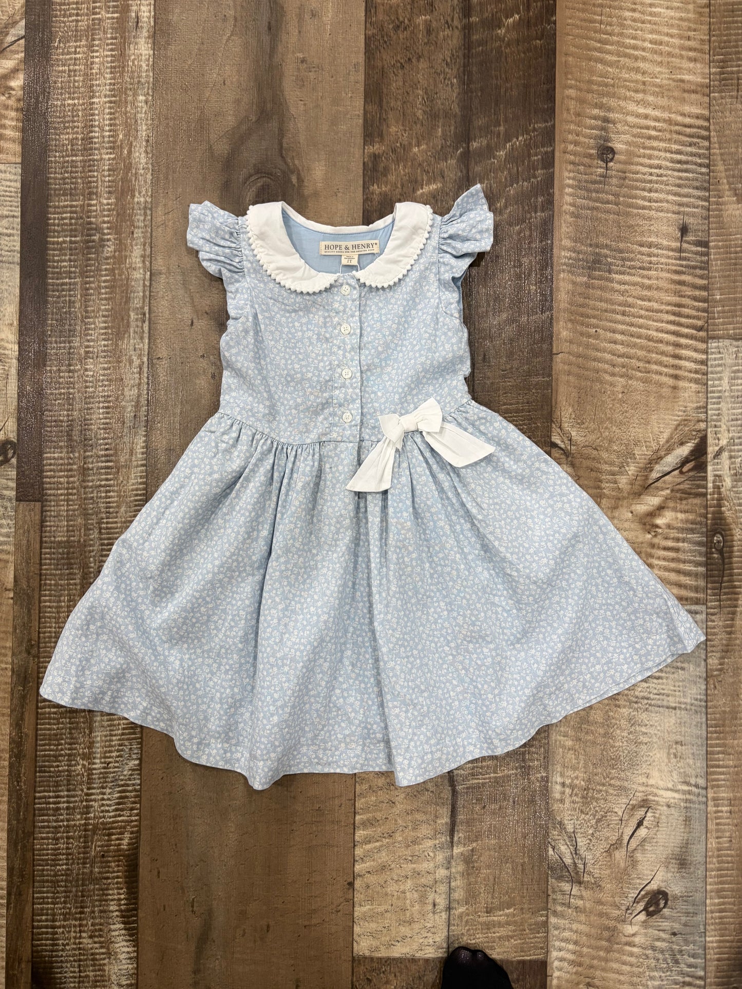 Baby Blues Collared Dress